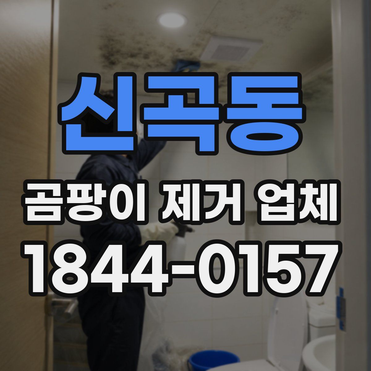 신곡동 곰팡이 제거 업체