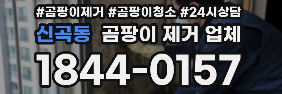 신곡동 곰팡이 제거 업체