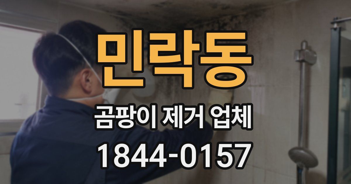 민락동 곰팡이 제거 업체
