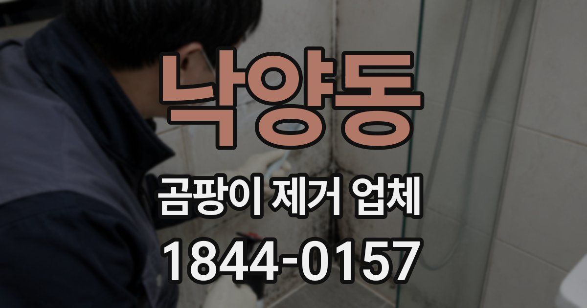 낙양동 곰팡이 제거 업체