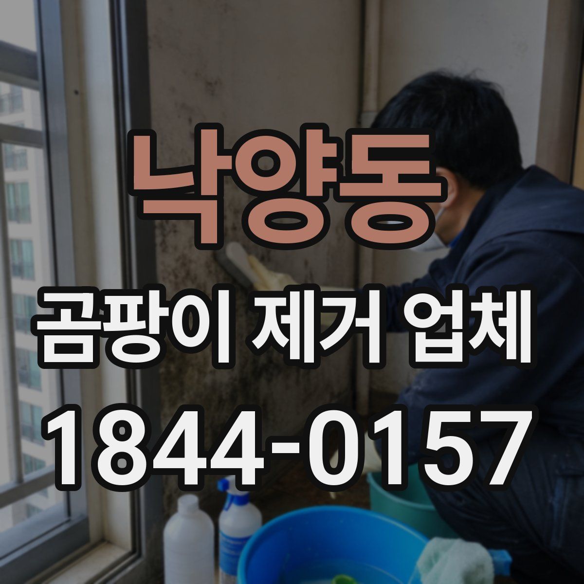 낙양동 곰팡이 제거 업체