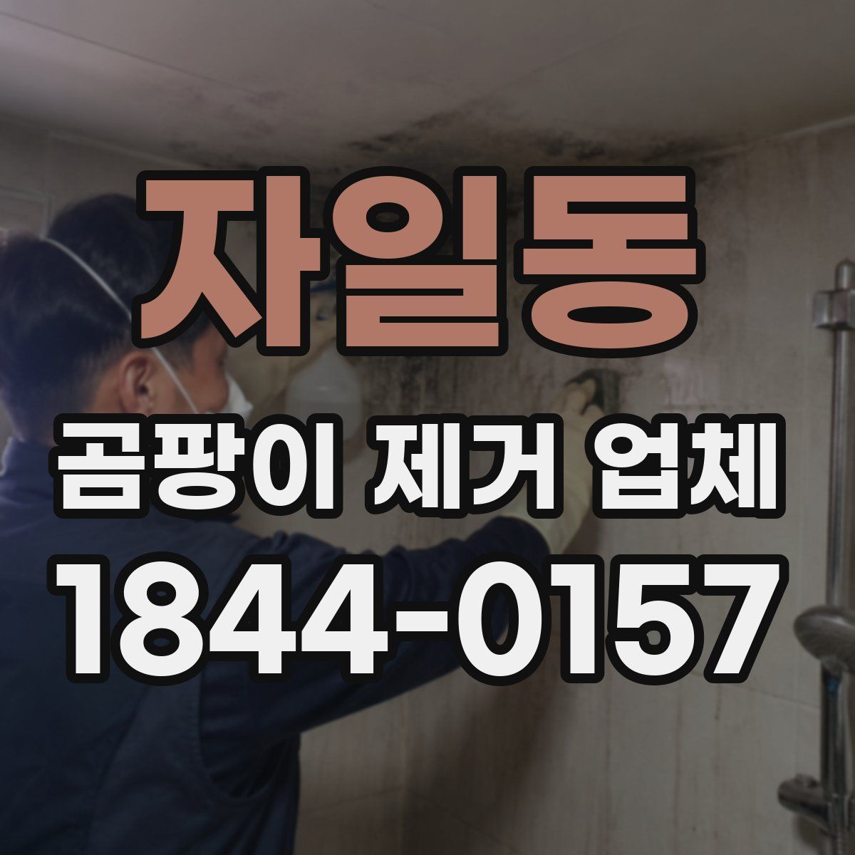 자일동 곰팡이 제거 업체