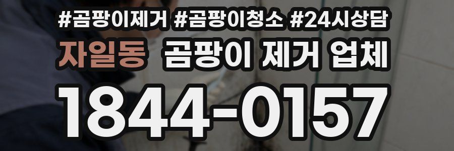 자일동 곰팡이 제거 업체