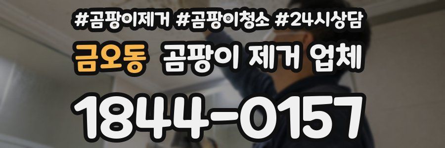 금오동 곰팡이 제거 업체
