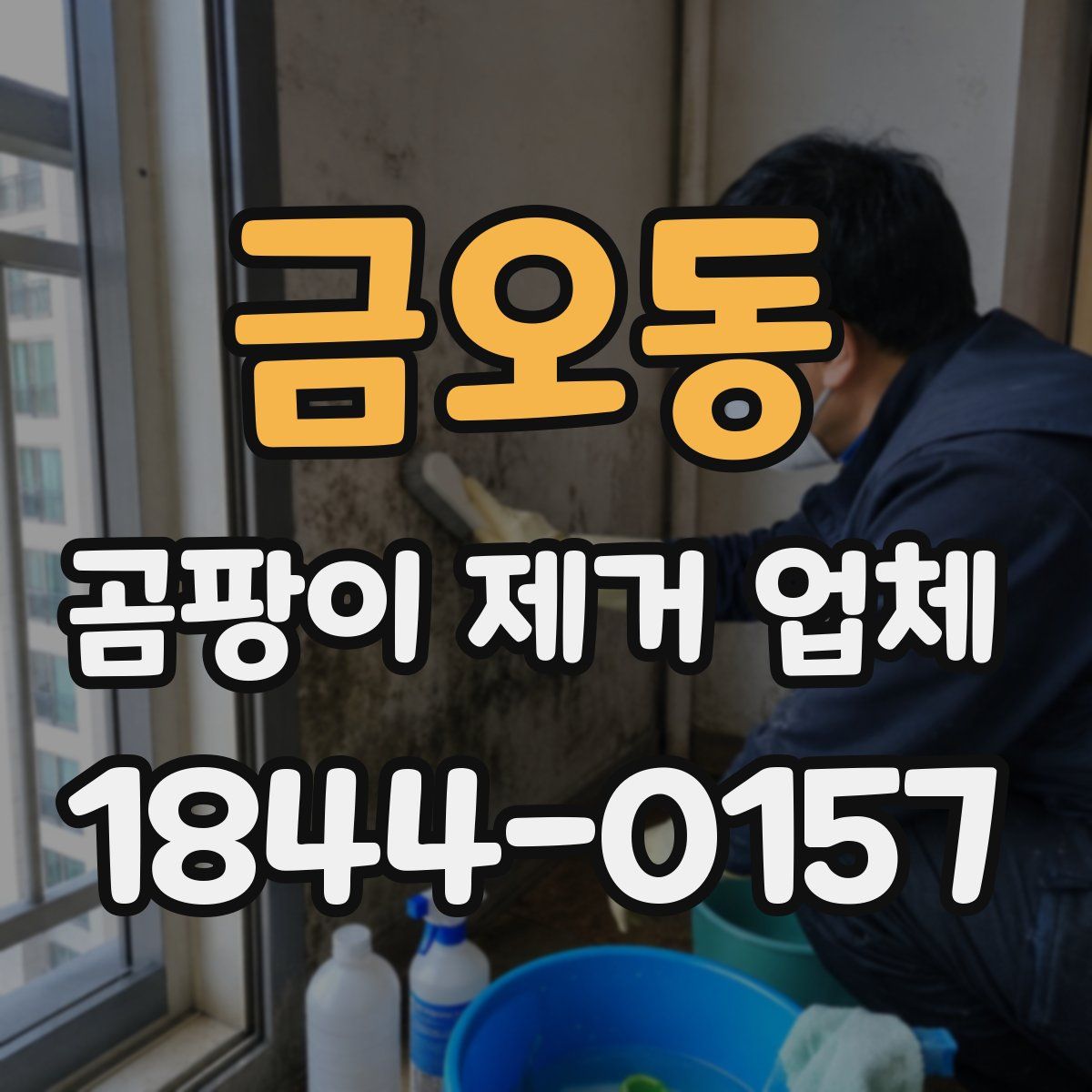 금오동 곰팡이 제거 업체