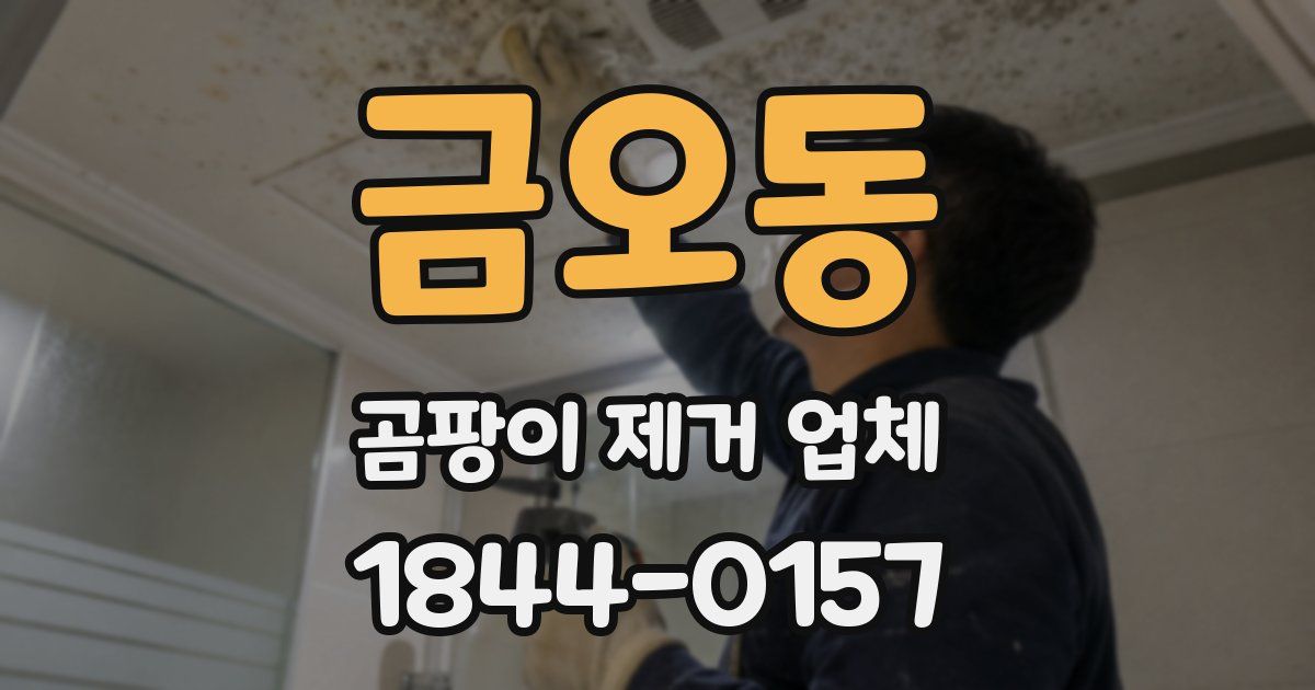 금오동 곰팡이 제거 업체