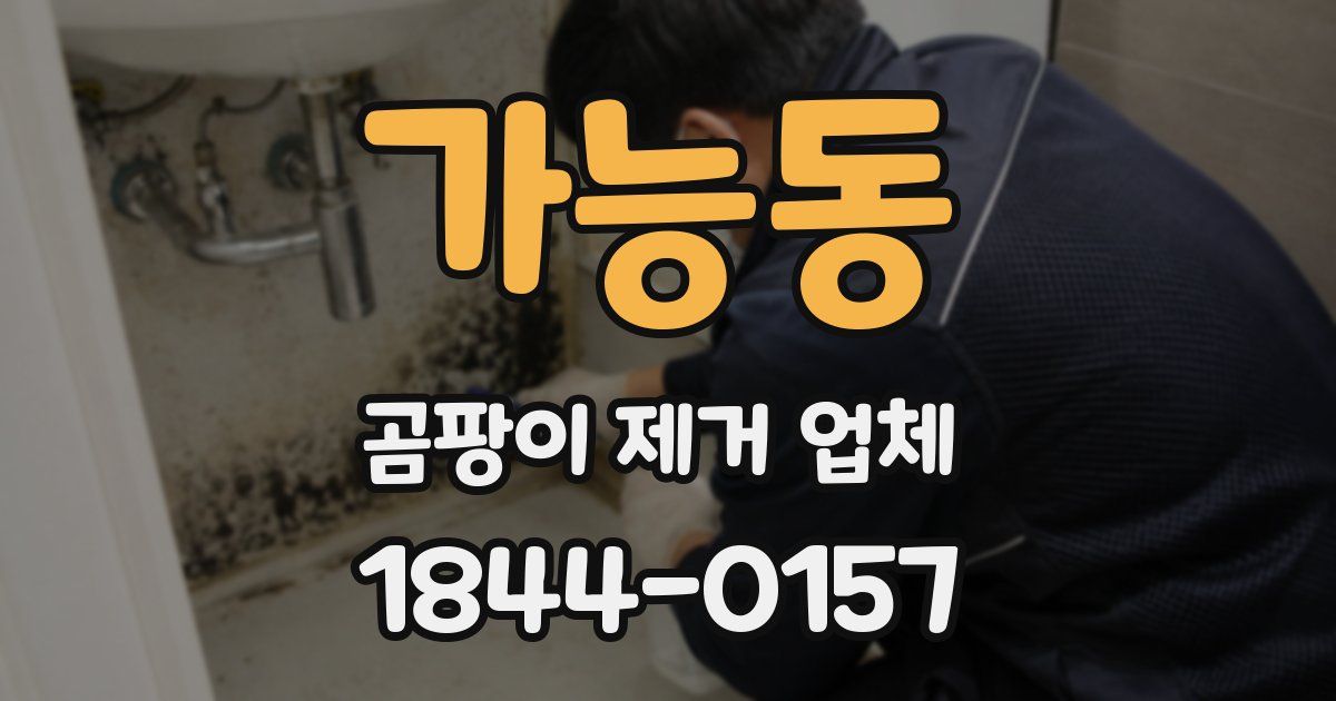 가능동 곰팡이 제거 업체