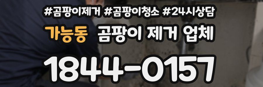 가능동 곰팡이 제거 업체