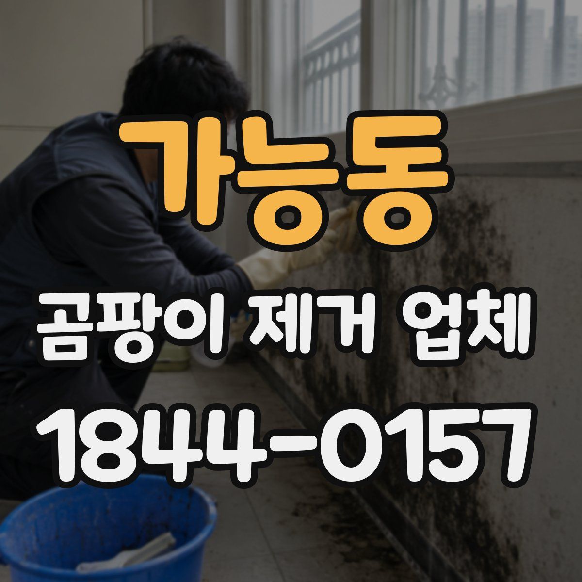 가능동 곰팡이 제거 업체