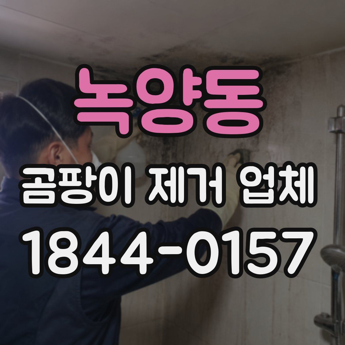 녹양동 곰팡이 제거 업체