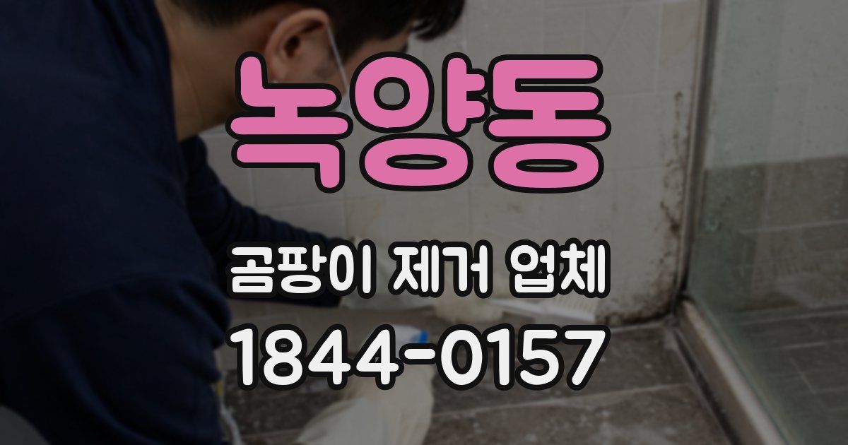 녹양동 곰팡이 제거 업체