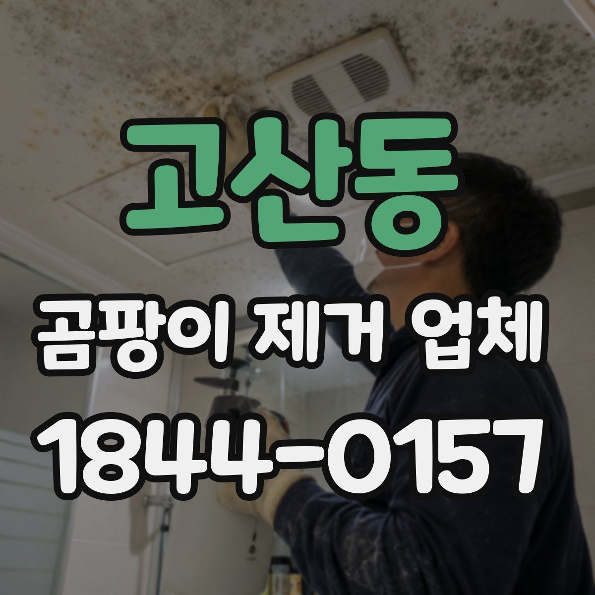 고산동 곰팡이 제거 업체 반지하·저층 주택 점검이 필요한 이유