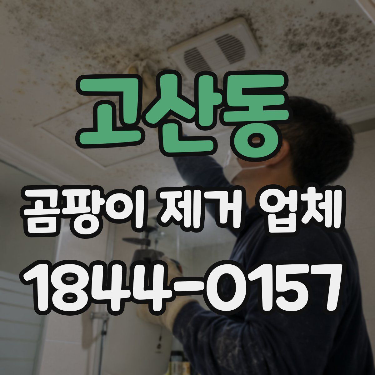 고산동 곰팡이 제거 업체