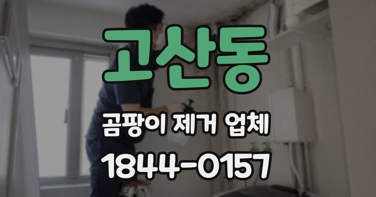 고산동 곰팡이 제거 업체