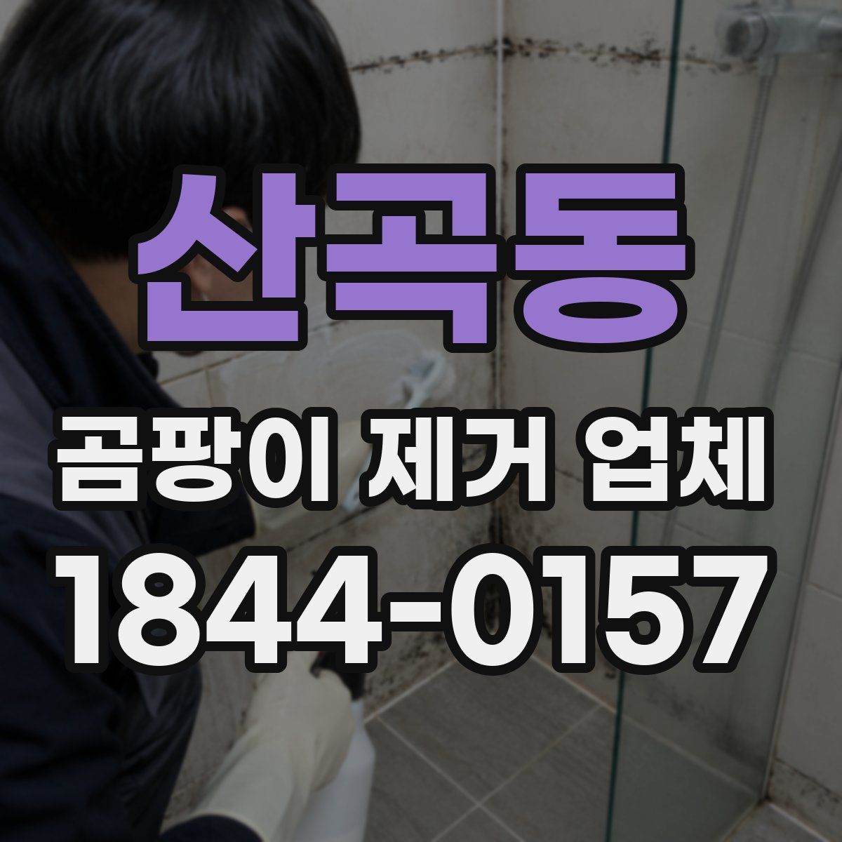 산곡동 곰팡이 제거 업체