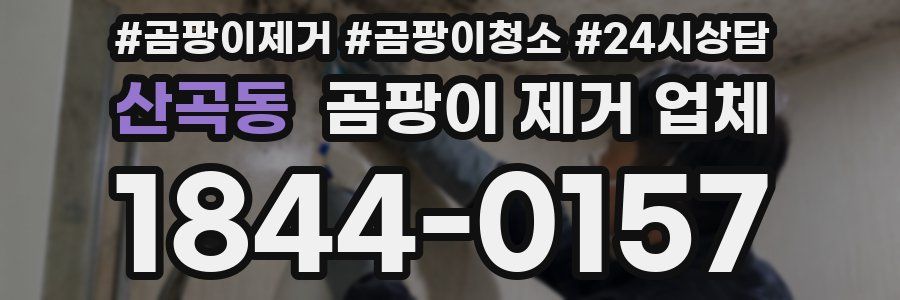 산곡동 곰팡이 제거 업체