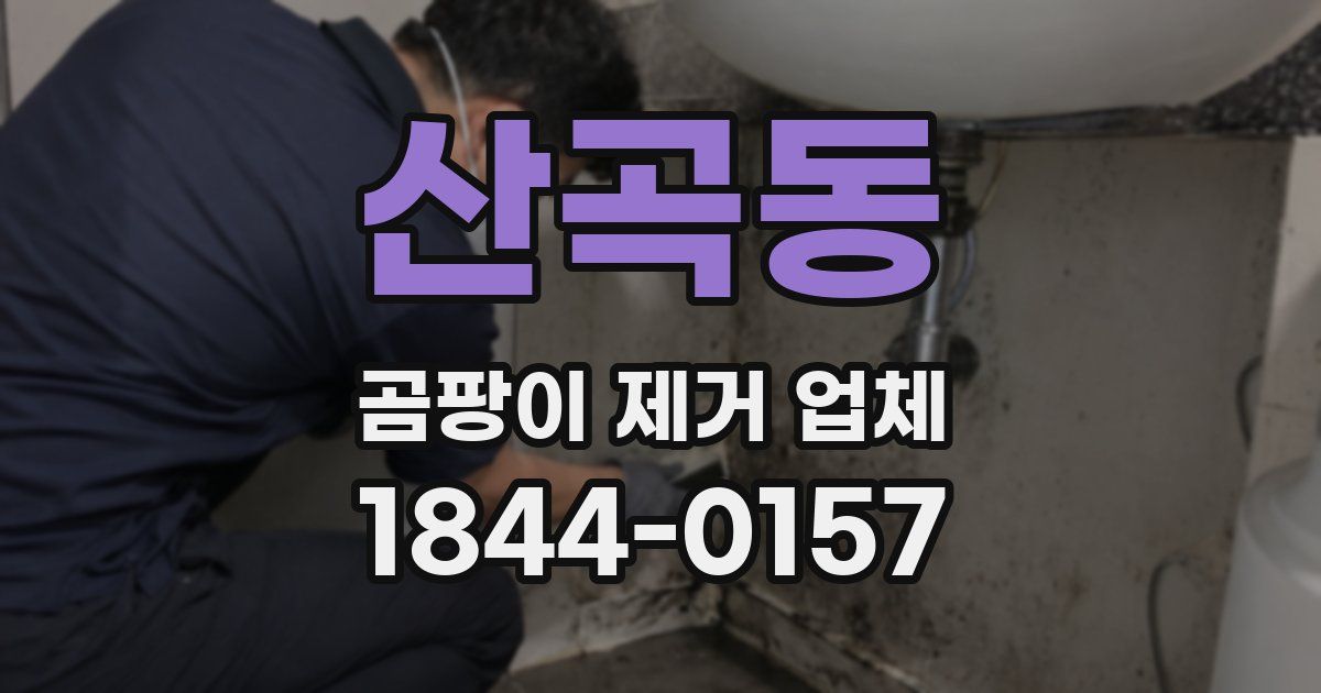 산곡동 곰팡이 제거 업체