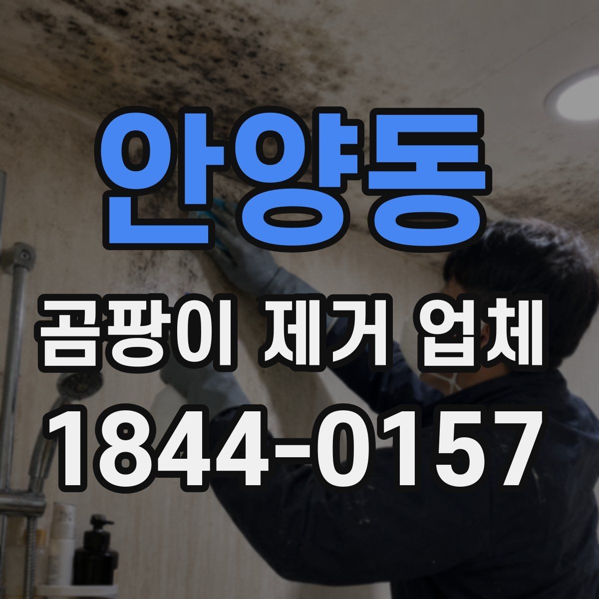 안양동 곰팡이 제거 업체 업체 방문 전 준비하면 좋은 사진과 체크 항목