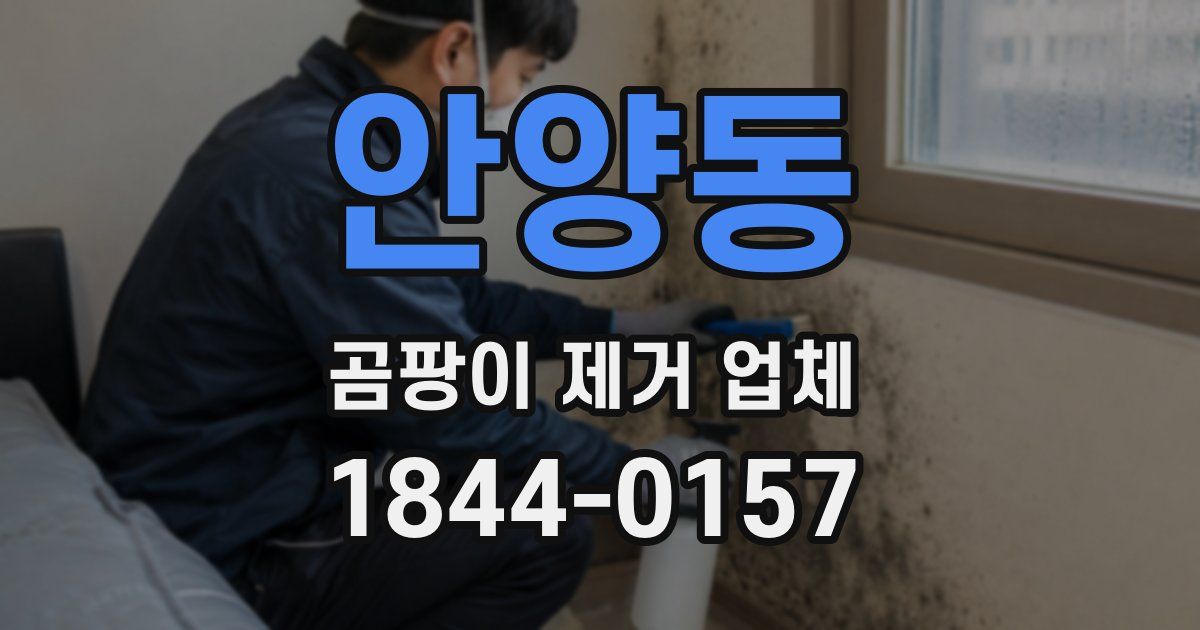 안양동 곰팡이 제거 업체