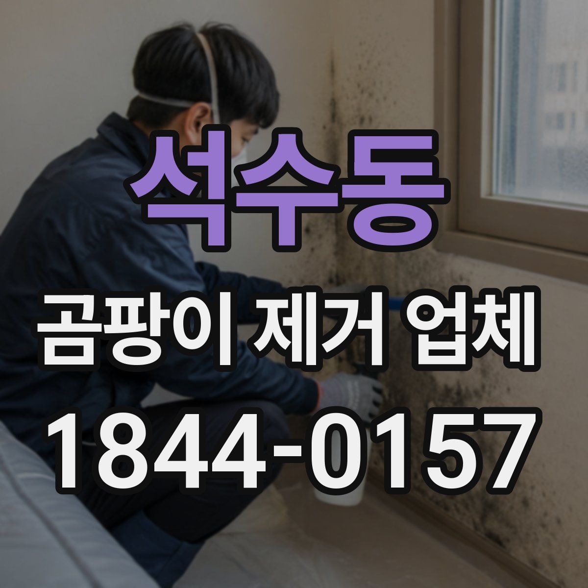 석수동 곰팡이 제거 업체