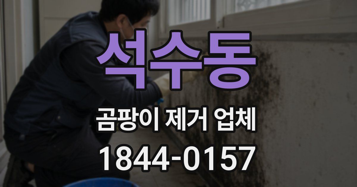 석수동 곰팡이 제거 업체