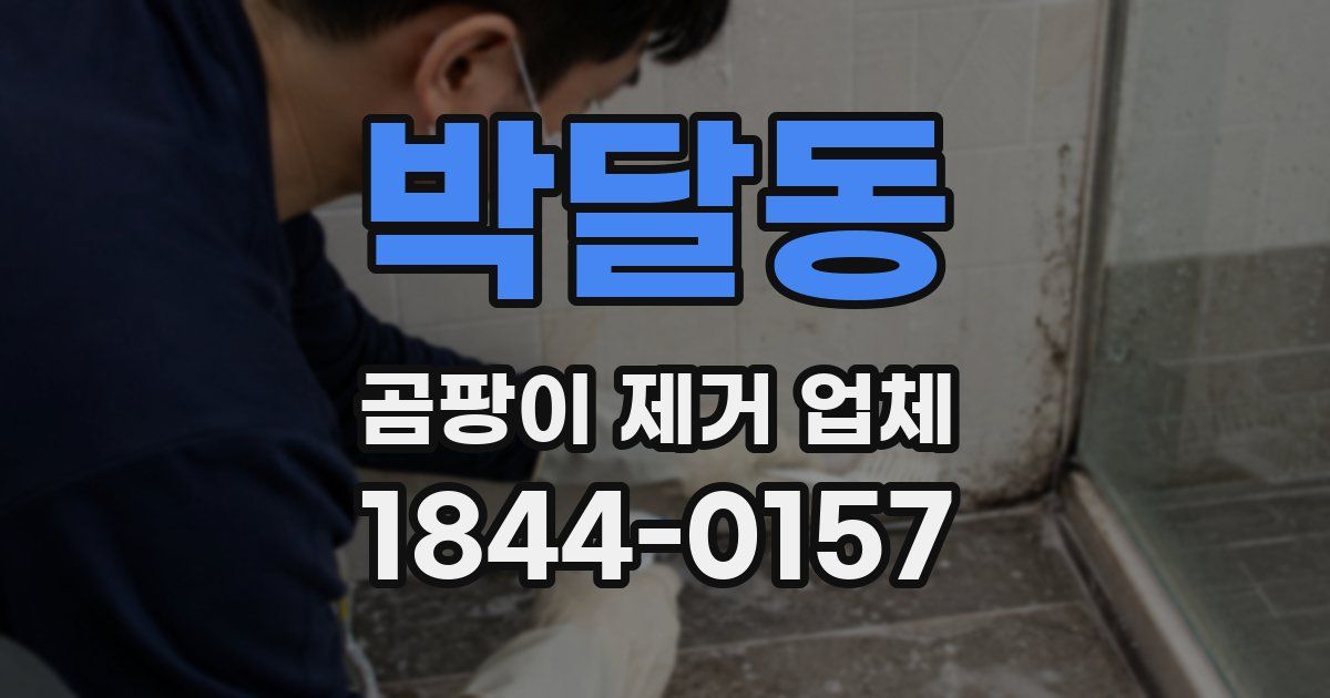박달동 곰팡이 제거 업체