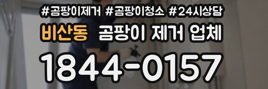 비산동 곰팡이 제거 업체