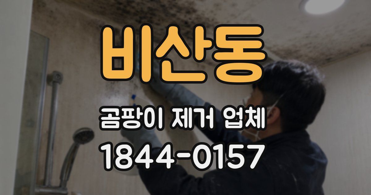 비산동 곰팡이 제거 업체