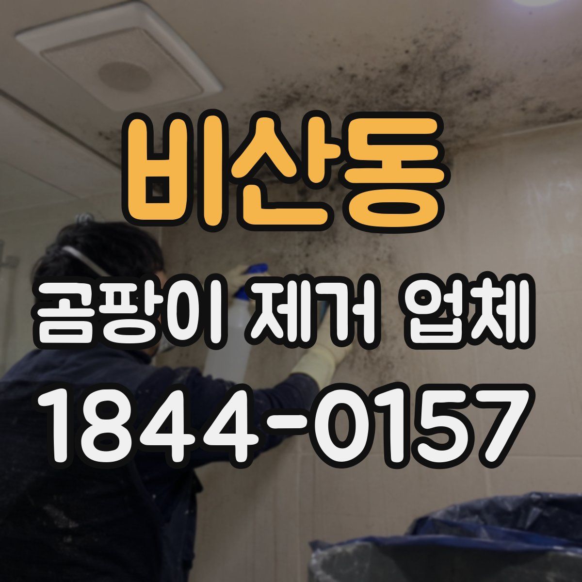 비산동 곰팡이 제거 업체