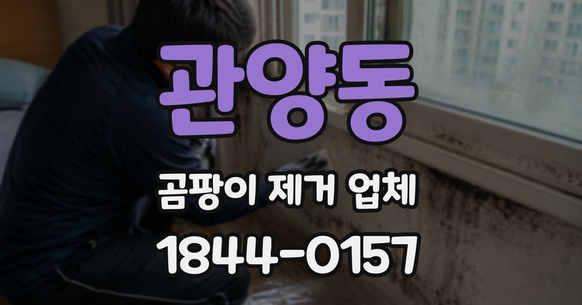 관양동 곰팡이 제거 업체