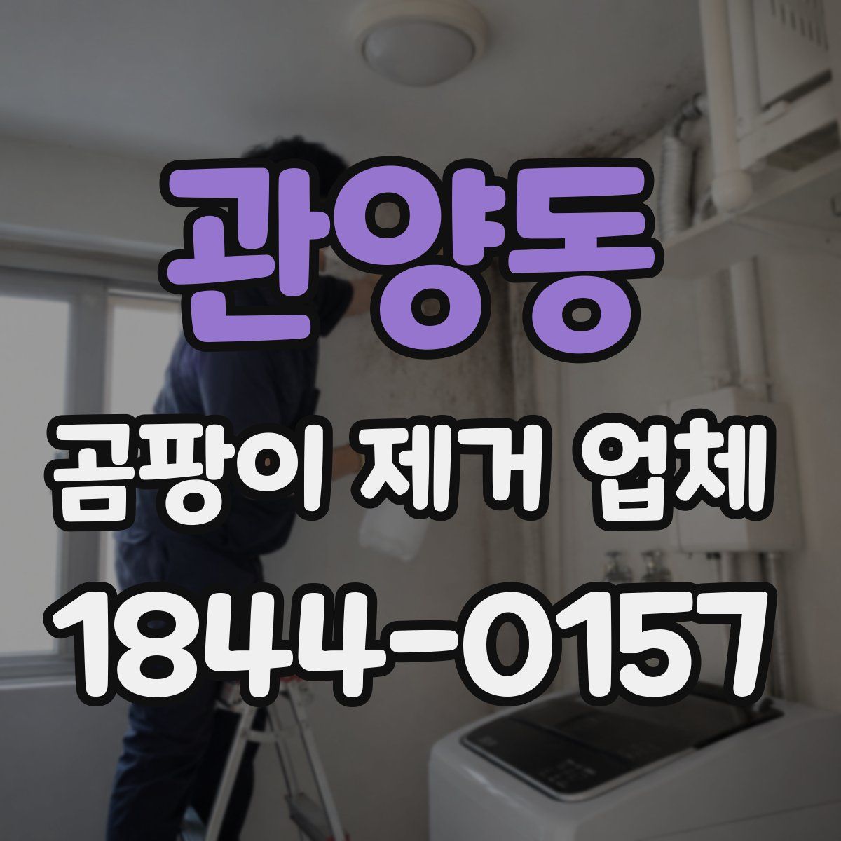 관양동 곰팡이 제거 업체