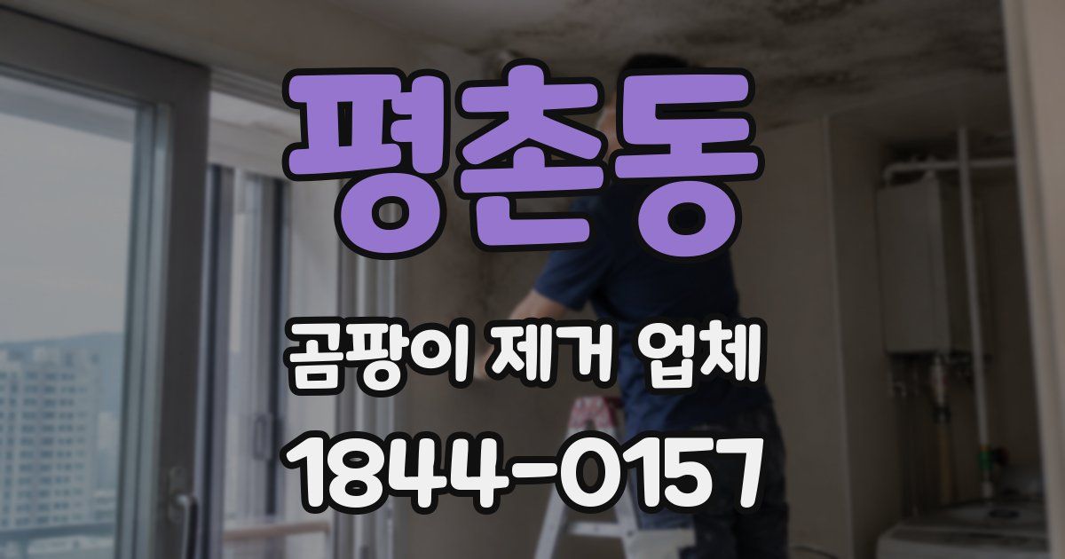 평촌동 곰팡이 제거 업체
