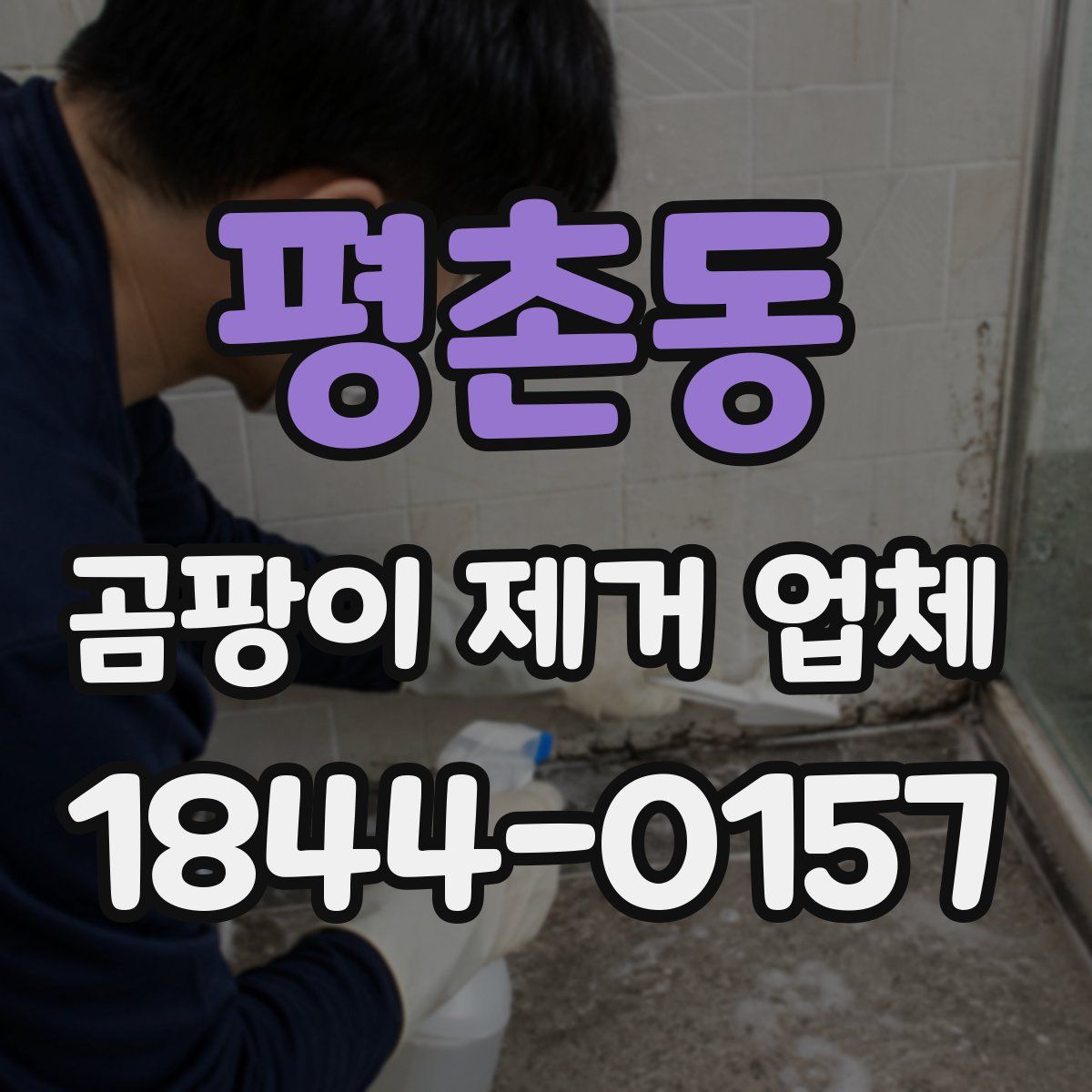평촌동 곰팡이 제거 업체