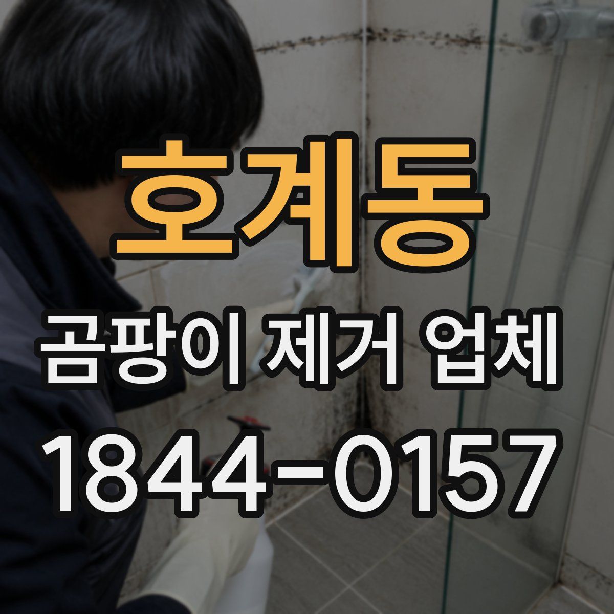 호계동 곰팡이 제거 업체