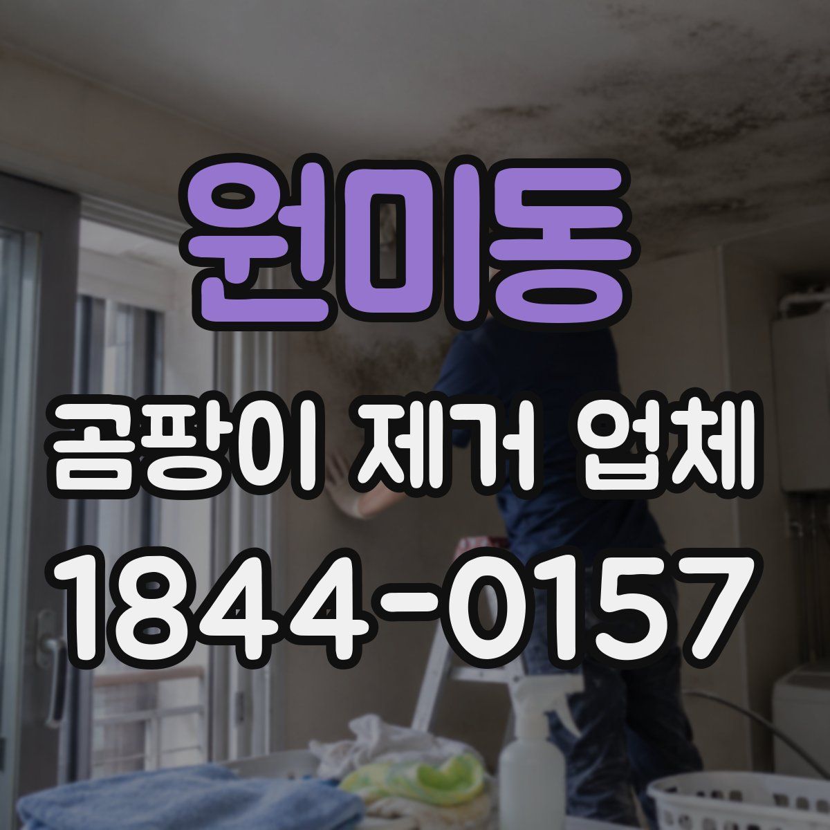 원미동 곰팡이 제거 업체