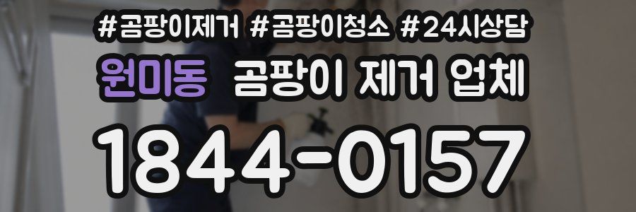 원미동 곰팡이 제거 업체
