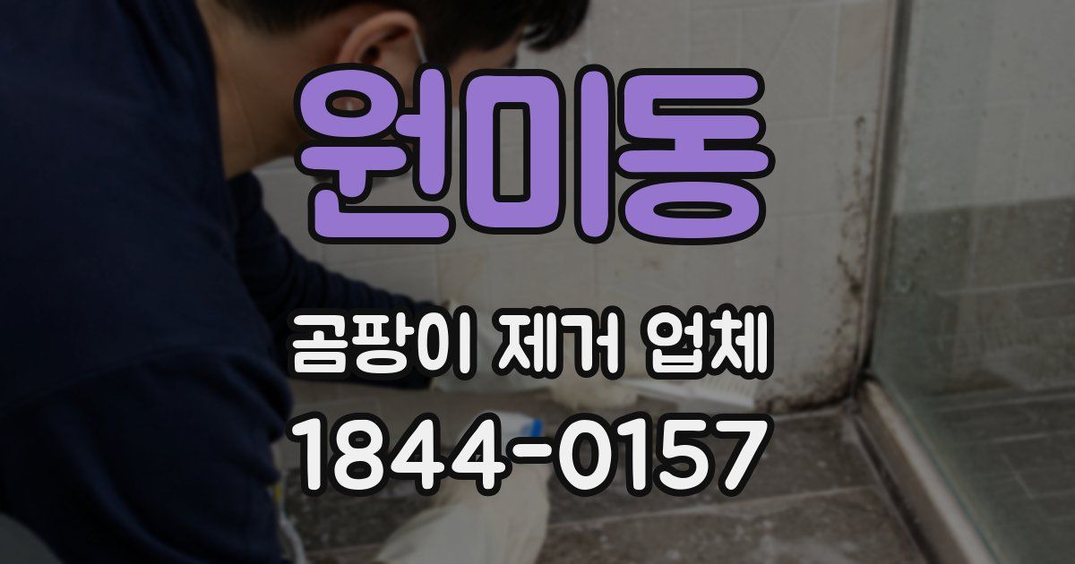 원미동 곰팡이 제거 업체