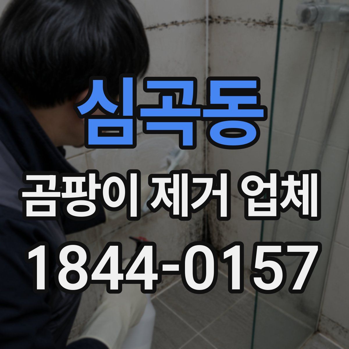 심곡동 곰팡이 제거 업체