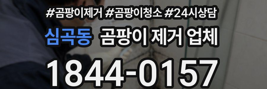 심곡동 곰팡이 제거 업체