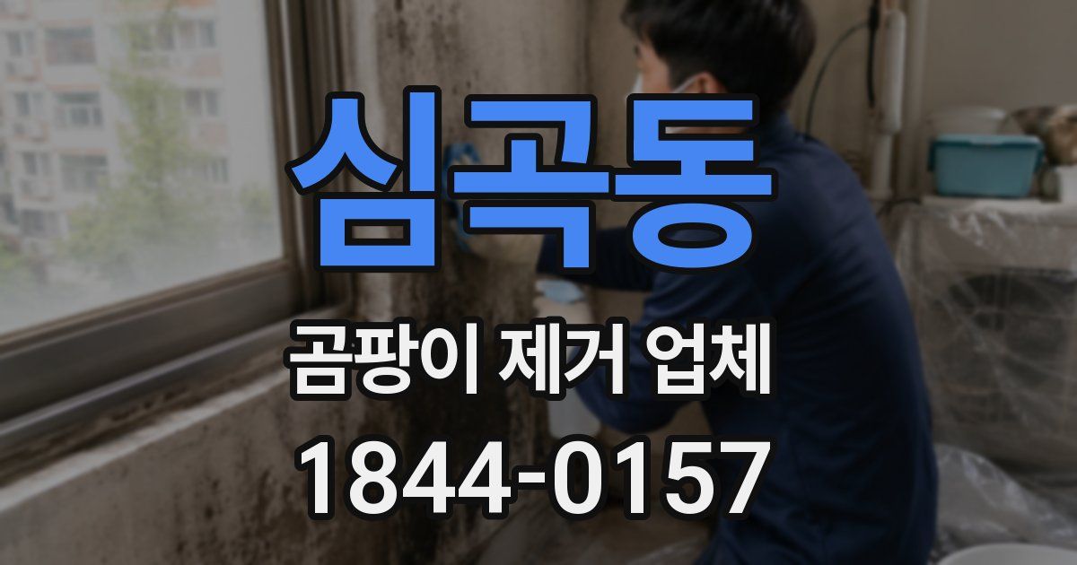 심곡동 곰팡이 제거 업체