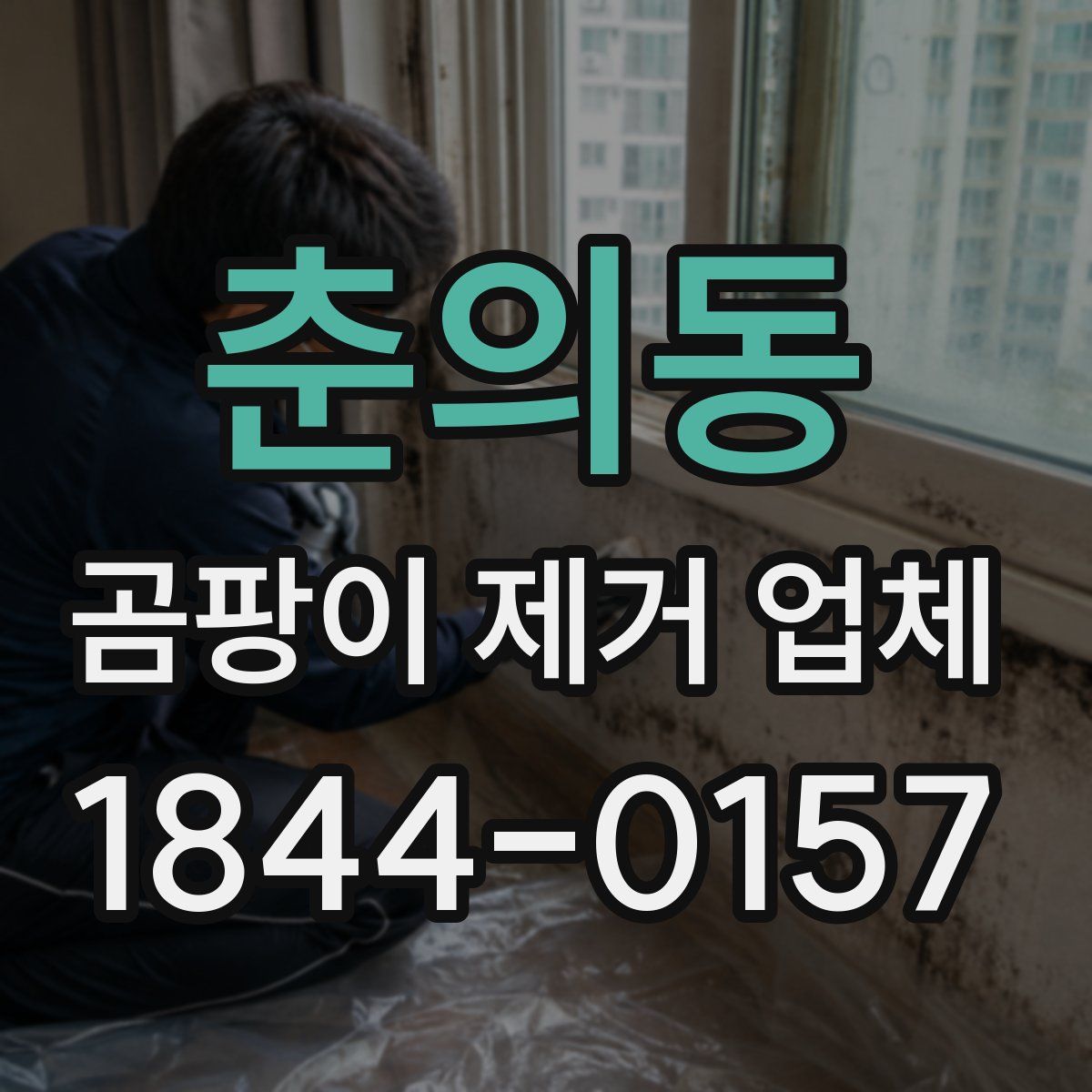춘의동 곰팡이 제거 업체