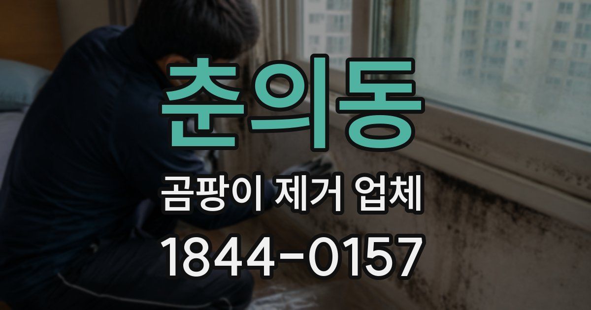춘의동 곰팡이 제거 업체