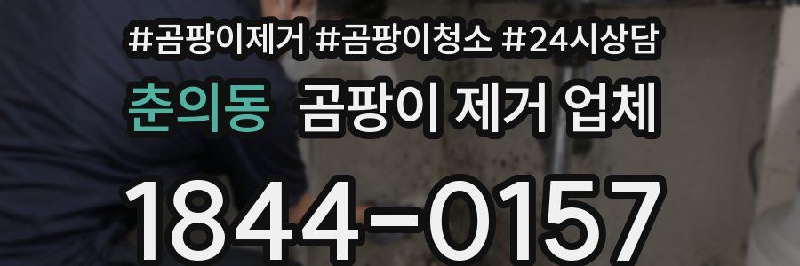 춘의동 곰팡이 제거 업체