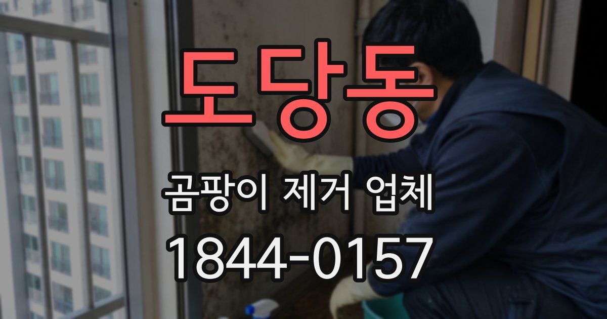 도당동 곰팡이 제거 업체