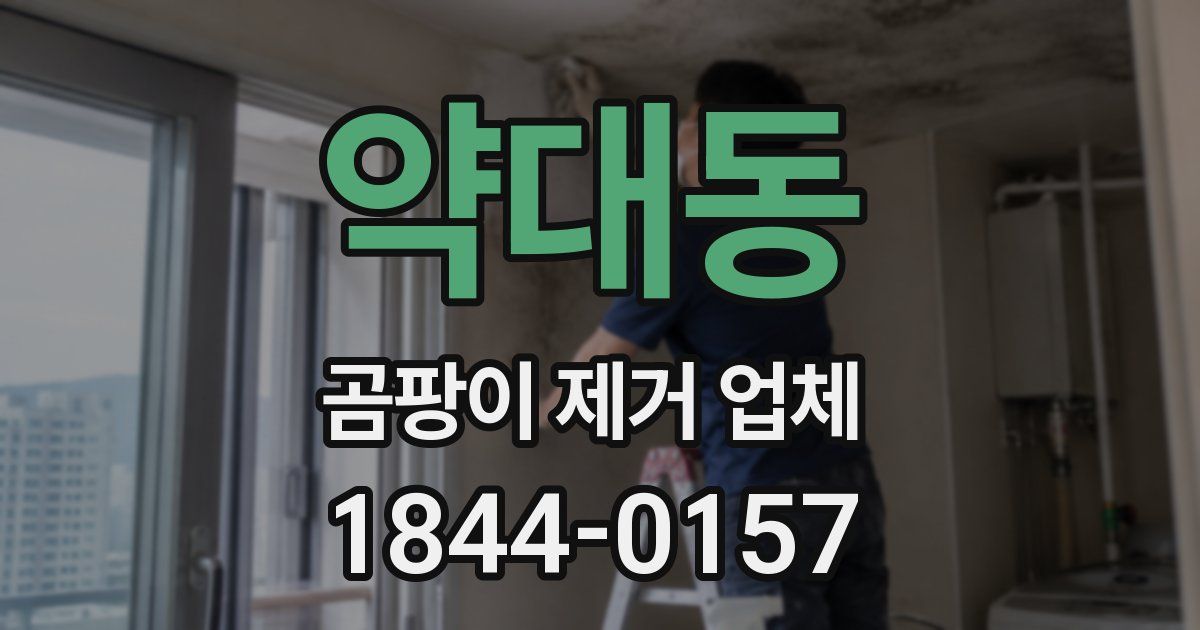약대동 곰팡이 제거 업체