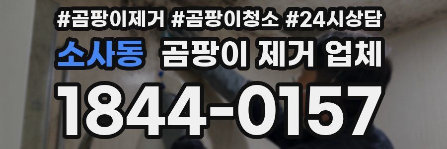 소사동 곰팡이 제거 업체