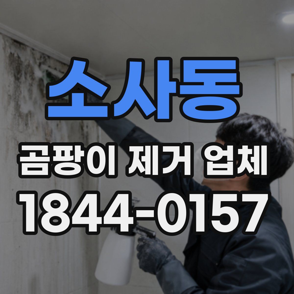소사동 곰팡이 제거 업체