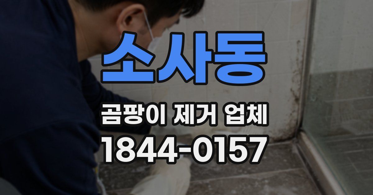소사동 곰팡이 제거 업체