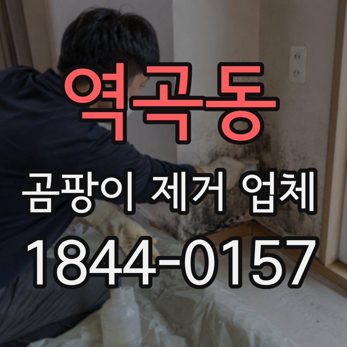 역곡동 곰팡이 제거 업체 세입자 요청 전 확인할 현장 항목 정리