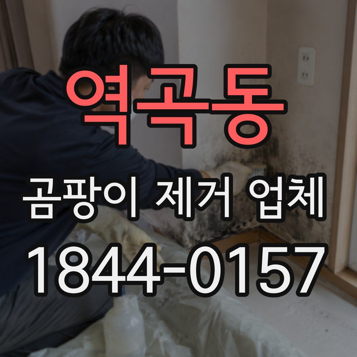 역곡동 곰팡이 제거 업체